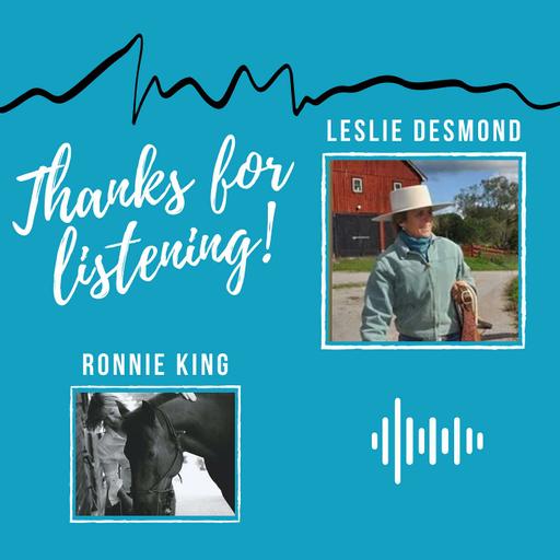 Interview with Leslie Desmond - www.feelofahorse.com