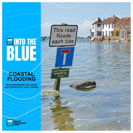 Flooding: How Do We Tackle The Biggest and Most Destructive Natural Hazard? | Into the Blue Podcast