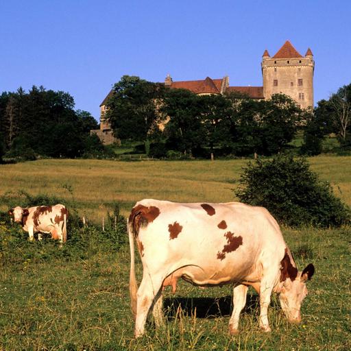 Comté, Absinth und Würste aus dem Jura