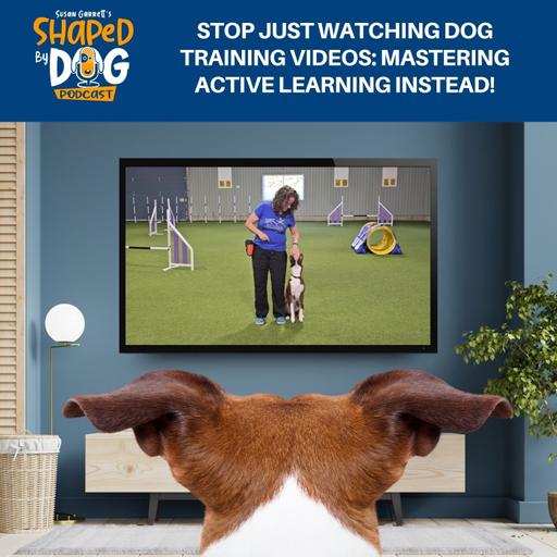 Stop Just Watching Dog Training Videos: Mastering Active Learning Instead! #289