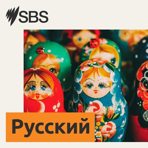 Программа SBS Russian — эфир от 16.11.2024