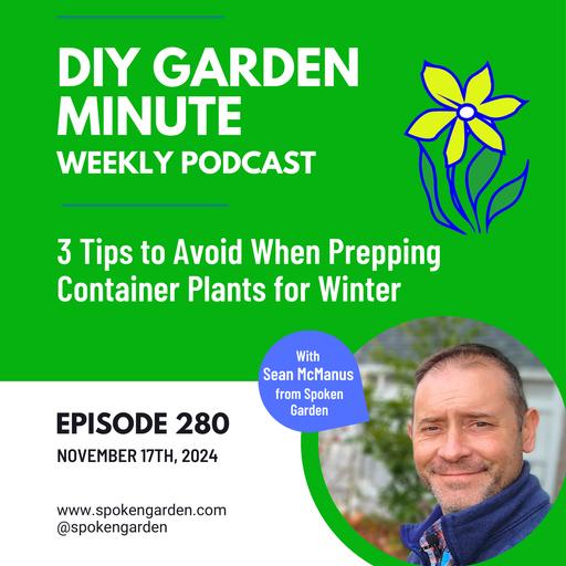 3 Tips to Avoid When Prepping Container Plants for Winter - DIY Garden Minute