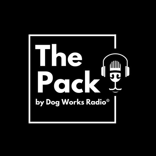 The Pack: A Deeper Dive into Bonding with your Dog over Long Walks