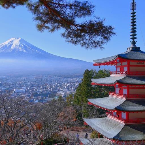 Autorin Vieser - Selbstfindung im japanischen Kloster und in der Tiefsee