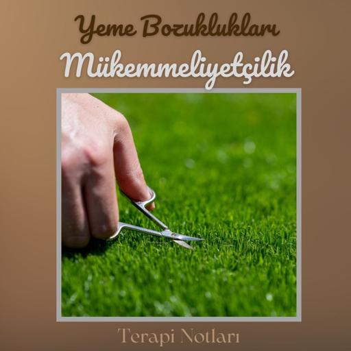 Mükemmeliyetçilik ve Yeme Bozuklukları- Kusursuzluk Takıntısının Gizli Tehlikesi