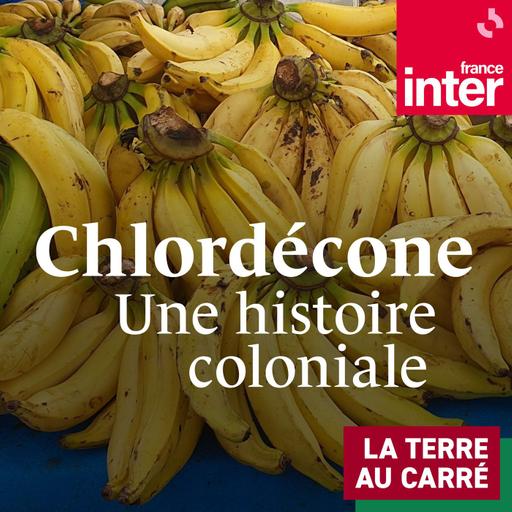 Scandale du chlordécone aux Antilles : une histoire coloniale 2/2 : Scandale du chlordécone aux Antilles : une histoire coloniale (2/2)