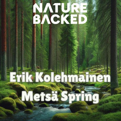 The Forest's Secret Lab: A Conversation with Metsä's Erik Kolehmainen