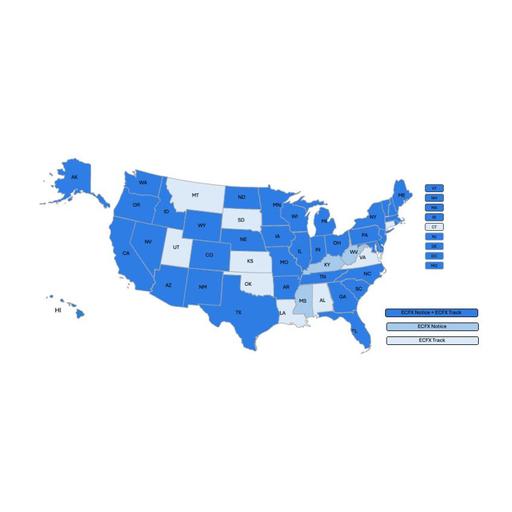 ECFX Becomes First and Only Provider to Deliver Automated Court Notice Processing Across All 50 States - Law Firm Newswire