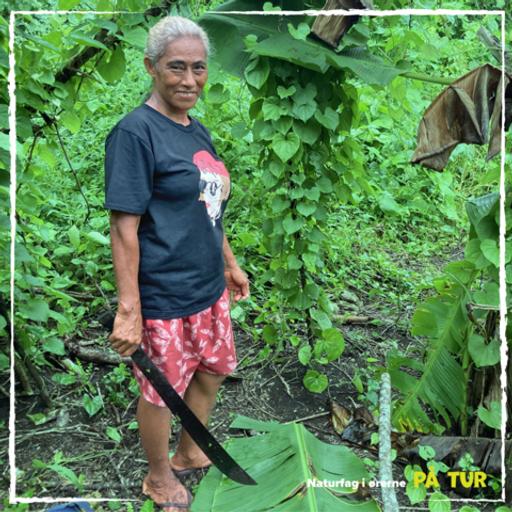 Når tørke og regn rammer Bellonas haver