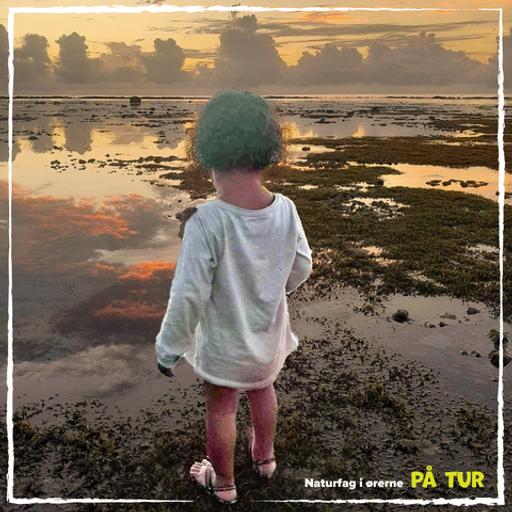 Når et land forsvinder.