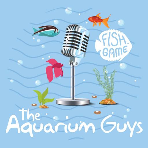 #111 – Aquarium Video Game