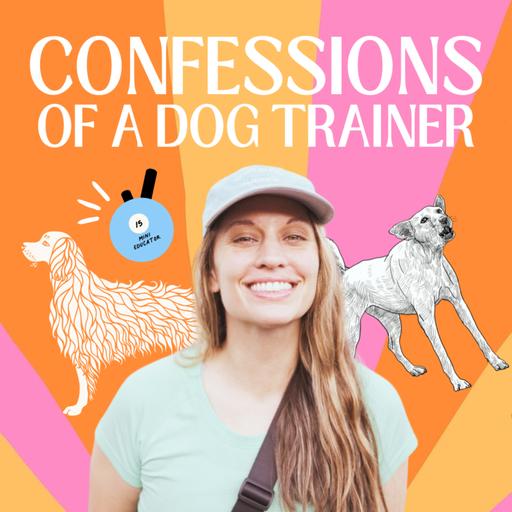 E COLLAR STARTER EPISODE : if you're curious about E Collar training, this episode is for YOU