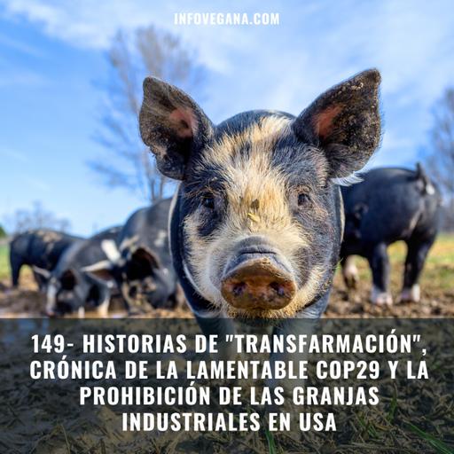 149- HISTORIAS DE "TRANSFARMACIÓN", CRÓNICA DE LA COP29 Y LA PROHIBICIÓN DE LAS GRANJAS INDUSTRIALES EN USA | Infovegana