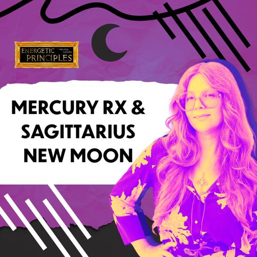 MERCURY RX & SAGITTARIUS NEW MOON - Shifting The Big Picture