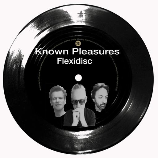 Known Pleasures Flexidisc - Graham Parker & The Rumour