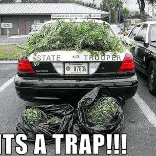 Episode 286 Pot Politics & Law