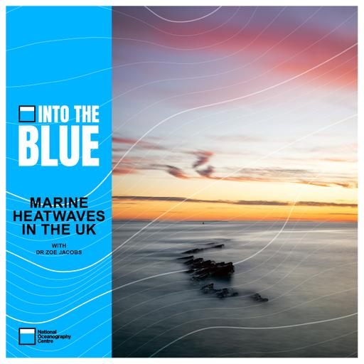How Vital Is Research in Mitigating Effects of Marine Heatwaves in the UK? | Into the Blue Podcast