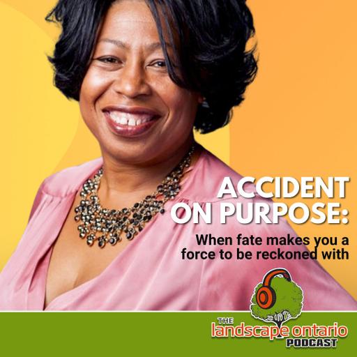 Accident on purpose: