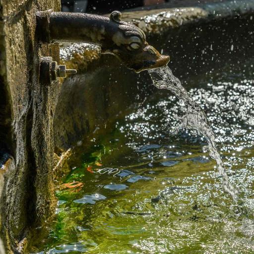 (1/3) Les grandes lois sur l'eau
