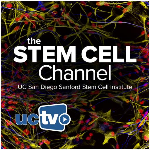 What Makes a Stem Cell a Stem Cell and How Does it Go Bad? with John Dick - Sanford Stem Cell Symposium 2024