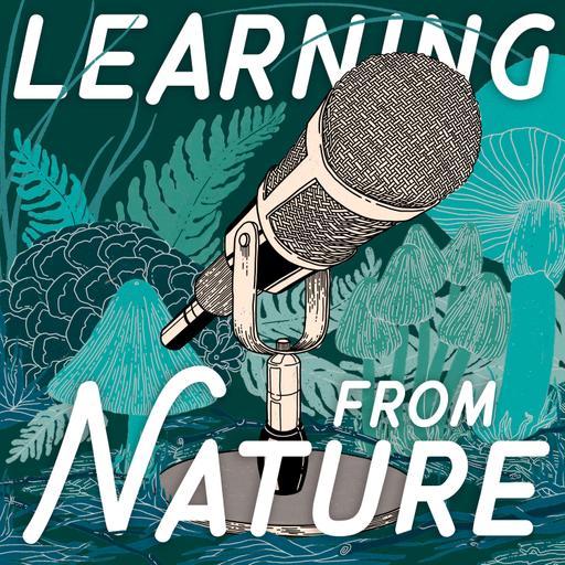 Special Episode: Nature Journaling with John Muir Laws