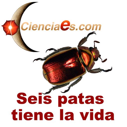 Rojo cochinilla y manjares de seis patas.