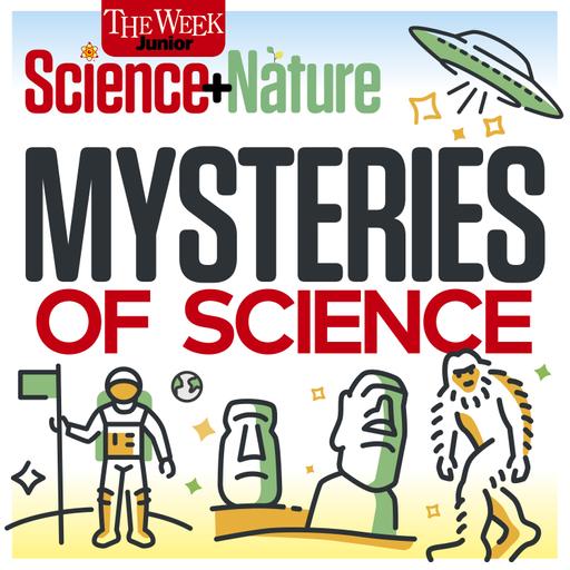 What killed Venus?