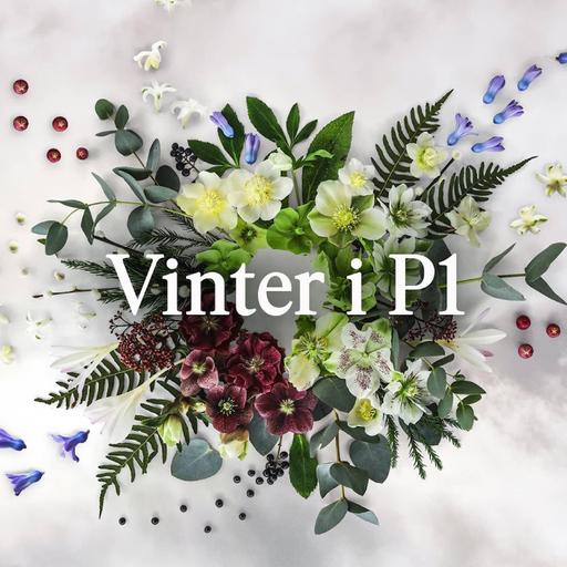 Vinter i P1 Vintervärdarna 2024 presenteras