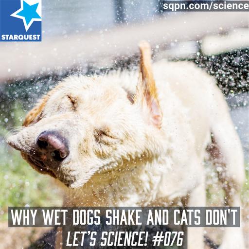 Why Wet Dogs Shake and Cats Don’t