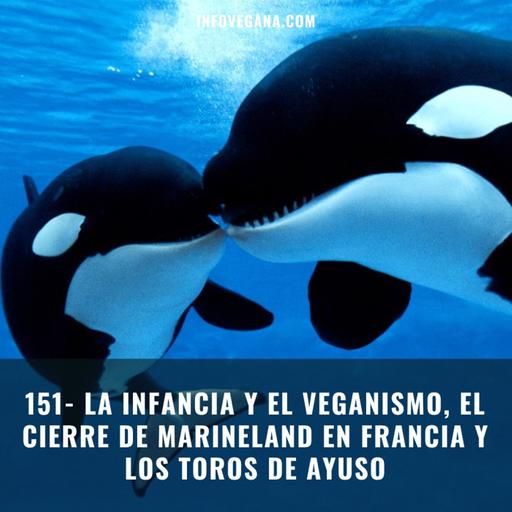 151- LA INFANCIA Y EL VEGANISMO, EL CIERRE DE MARINELAND EN FRANCIA Y LOS TOROS DE AYUSO | Infovegana