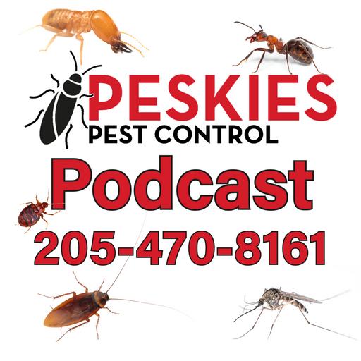 Fruit Flies Are Invading Birmingham Alabama Homes!