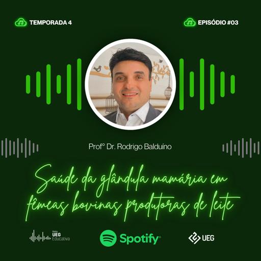 T4 Ep4 | Papo de rúmen | Saúde da glândula mamária em fêmeas bovinas produtoras de leite |