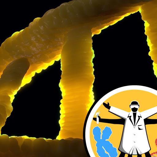 Debunking 'junk' DNA