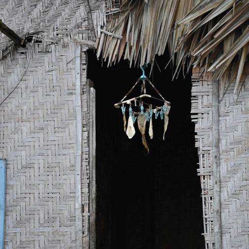 Give me Maw: China's Craze for the Cocaine of the Seas