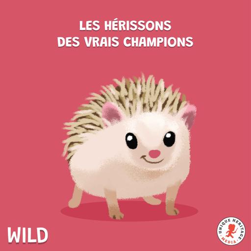 Les Hérissons des vrais champions !