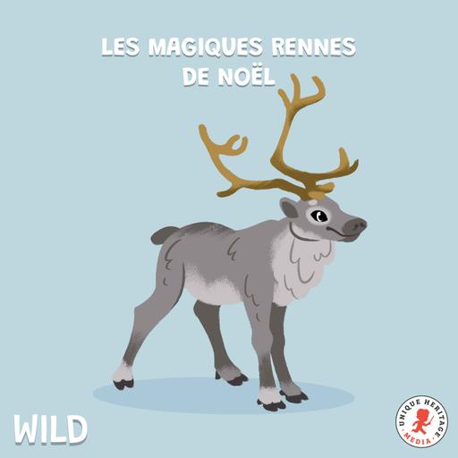 Les magiques Rennes de Noël !