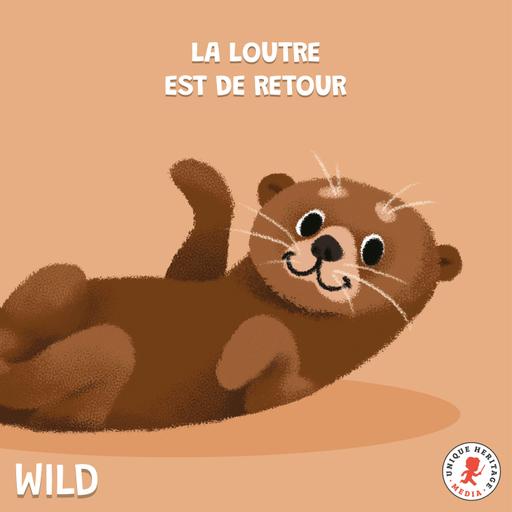 La Loutre est de retour !