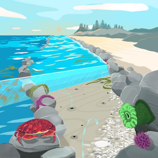 FE6.2 - SEA / GARDEN