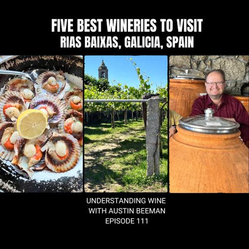 The Five Best Wineries to Visit in Rias Baixas, Spain. #albarino