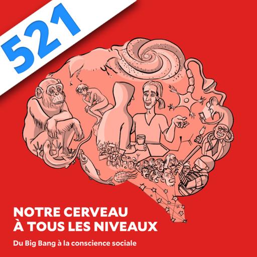 521 - Notre cerveau à tous les niveaux, avec Bruno Dubuc