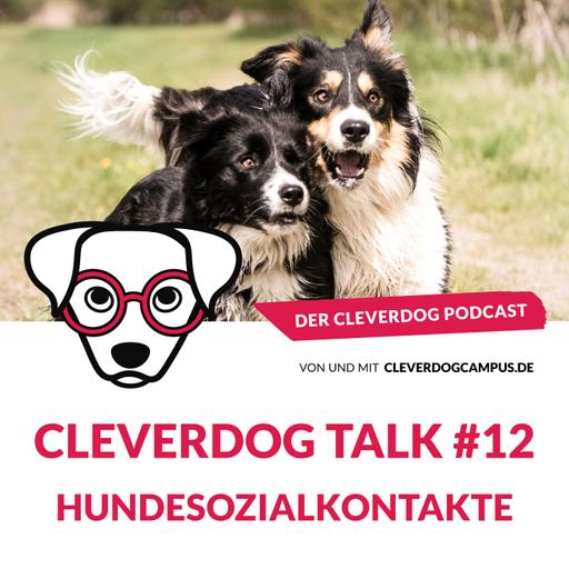 Cleverdog Talk #12 – Hundesozialkontakte