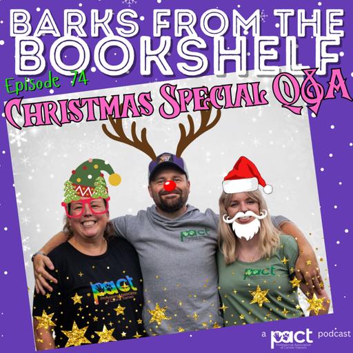 #74 Christmas Special & Q&A