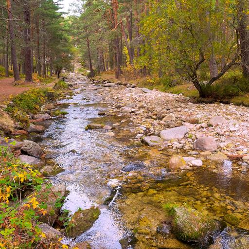 Caminantes - La sierra de Guadarrama en Segovia - 18/12/24