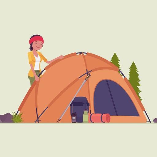 100. A Solo Journey to Financial Independence