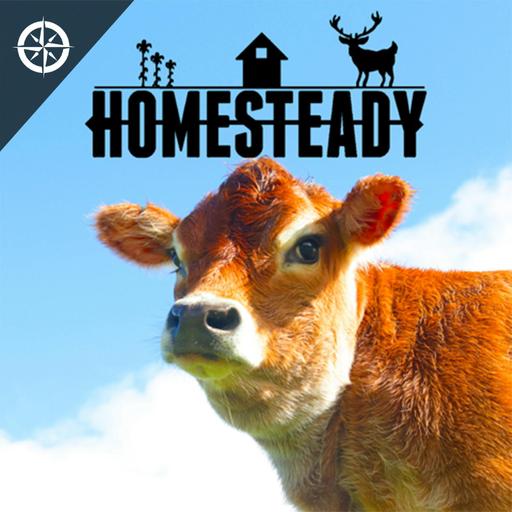 $75,000 SECRETS REVEALED - How Small Homesteads are Making BIG MONEY in 2025