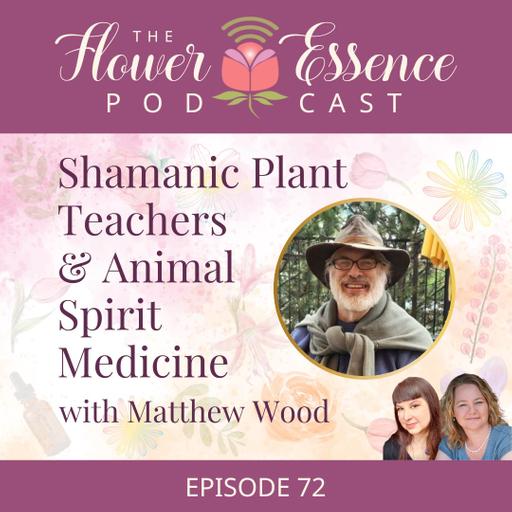 FEP72 Shamanic Plant Teachers & Animal Spirit Medicine with Matthew Wood