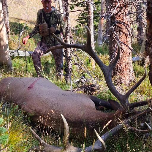 210. An Unashamed American Hunter, Dan Pickar