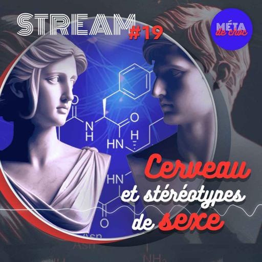 Cerveau et stéréotypes de sexe — STREAM #19