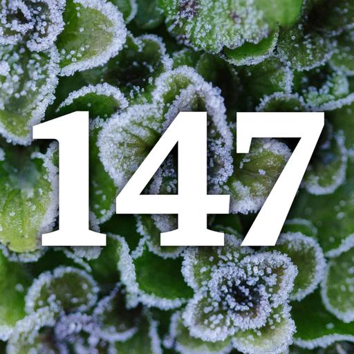 147 - The Winter Harvest