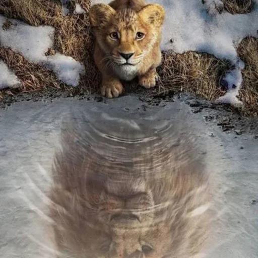 Unpacking Mufasa: The Lion King – Is Disney’s Prequel Worth the Hype?